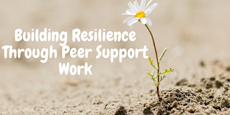 Building Resilience Through Peer Support Work
