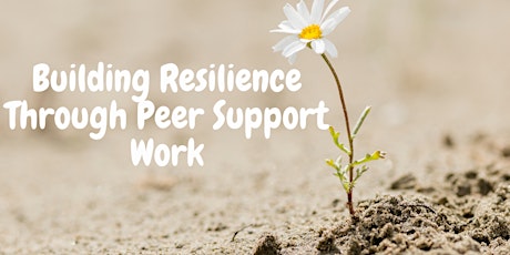 Building Resilience Through Peer Support Work primary image