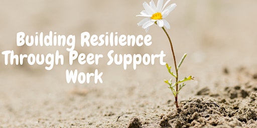 Building Resilience Through Peer Support Work  primärbild