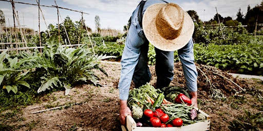 Hauptbild für Vegetable Garden Soil Building – In-Person Class