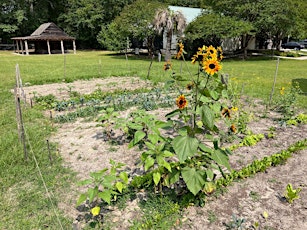 Plants in History Spring Break Program