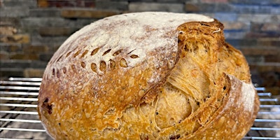 Immagine principale di Sourdough Basics 