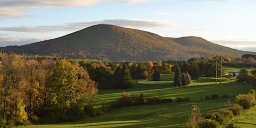 Mount Nittany Night 2024 primary image