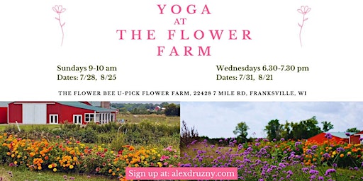 Yoga at The Flower Farm in Franskville WI  primärbild