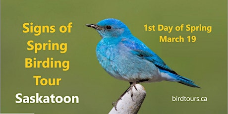 First Day of Spring Birding Tour primary image