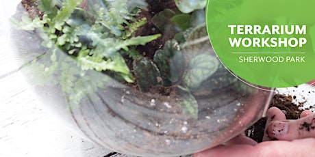 Terrarium | Salisbury Greenhouse | Sherwood Park