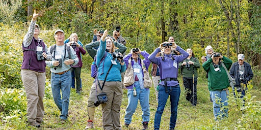 FLOC: First Friday Birding  primärbild