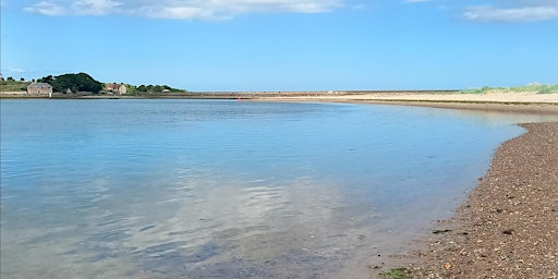 Imagen principal de The Tweed Estuary River Clean