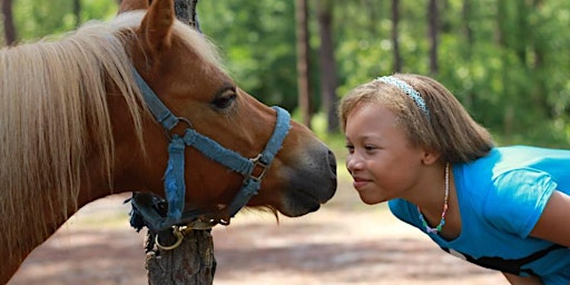 Hoofprints in the Summer primary image