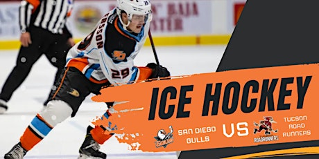 Gulls Hockey Game 4/6/2024 - ($27  Online Payment or Exact Cash paid to IP)