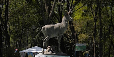 Hauptbild für Parque de los Venados 3