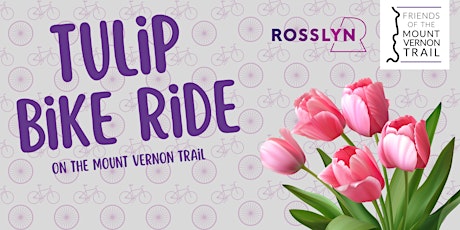 Tulip Ride on the Mount Vernon Trail