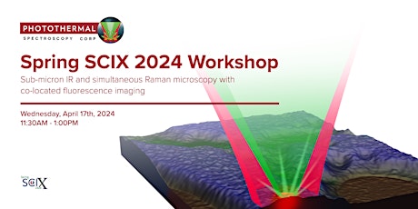 Spring SciX 2024 Sub-micron IR (O-PTIR) Workshop