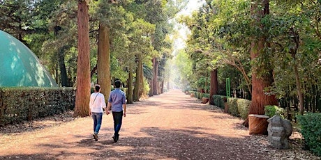 Viveros de Coyoacán