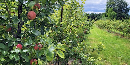 Hauptbild für Farm to Table Yoga