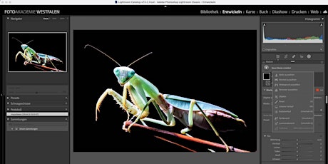 Die neuen KI-Funktionen & erweiterte Maskierungen in Lightroom Classic