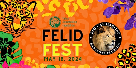 Felid Fest 2024