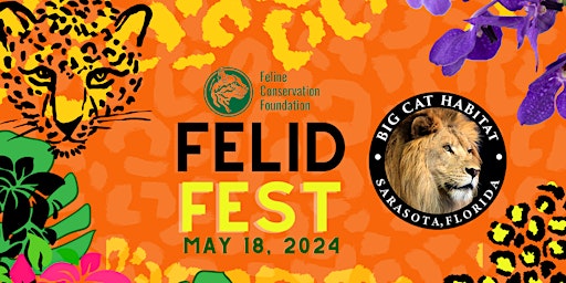 Image principale de Felid Fest 2024