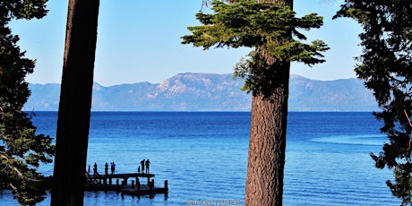 IN A LANDSCAPE: Sugar Pine Point State Park