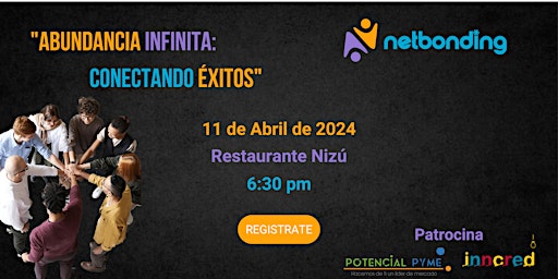 Imagen principal de Netbondig: Abundancia infinita:Conectando éxitos.