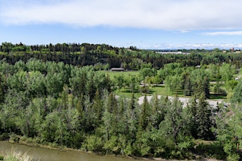 YYC Trees: Baker Park Tree Tour - Guided Walk