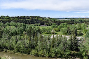 YYC Trees: Baker Park Tree Tour - Guided Walk primary image
