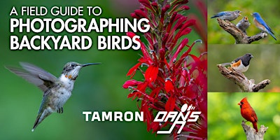 Hauptbild für Bird Photography in Your Backyard with David Akoubian