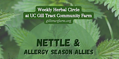 Nettle & Allergy Season Allies primary image