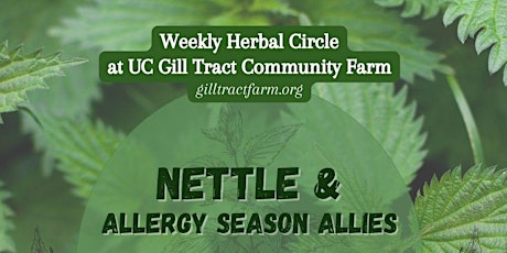 Nettle & Allergy Season Allies