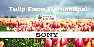 Imagem principal do evento The Shutterbug Tulip Festival Photo Workshops with Sony