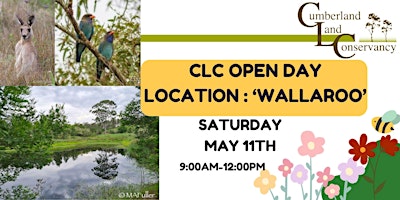 Imagem principal do evento CLC Open Day 'Wallaroo'