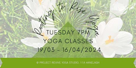 In-Studio Yoga Classes primary image