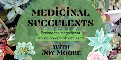 Medicinal Succulents primary image