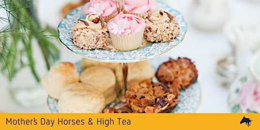 Immagine principale di Daracon Mother's Day Horses & High Tea at Gwandalan Stables 