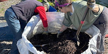 Intermediate Composting  Skills- An Introduction to Worm Composting