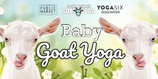 Imagem principal de Baby Goat Yoga - June 29th (YOGA SIX - EDGEWATER)