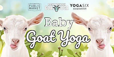 Baby Goat Yoga - August 31st (YOGA SIX - EDGEWATER) primary image