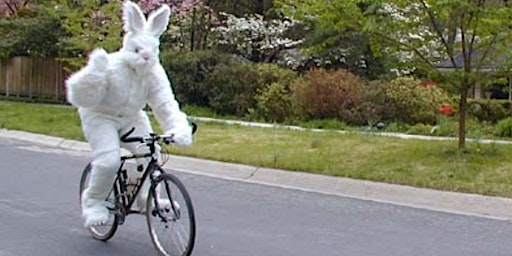 Imagem principal do evento Follow The Rabbit ride