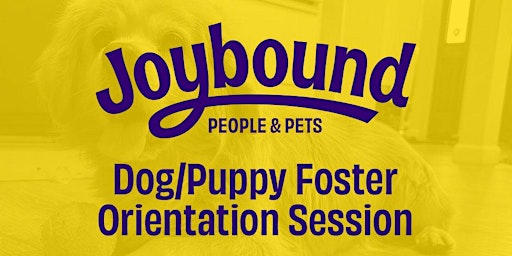 Hauptbild für Joybound Online Dog Foster Orientation 4/18/24 @ 2PM