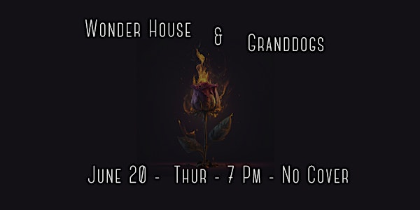 Wonder House & Granddogs ~ @PunjabLive