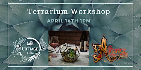 Design & Build your own beautiful terrarium to take home or gift!