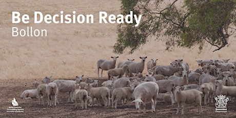 Be Decision Ready - Bollon