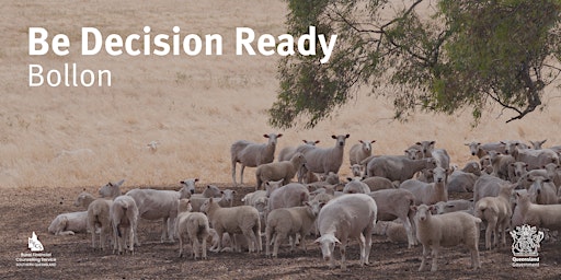 Be Decision Ready - Bollon primary image