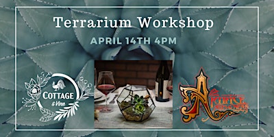 Imagem principal do evento Design & Build your own beautiful terrarium to take home or gift!