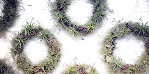Crafts & Drafts | Air Plant Wreath primary image