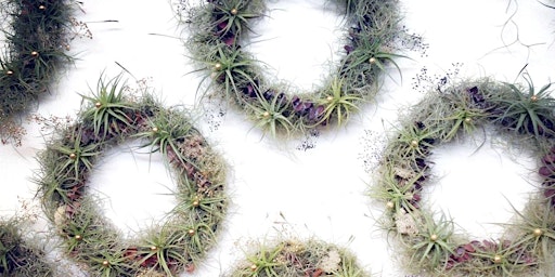 Hauptbild für Crafts & Drafts | Air Plant Wreath