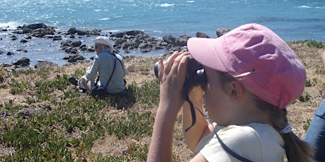 Living Green - Guided Birdwalk