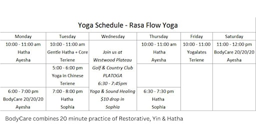 Yoga Schedule - Rasa Flow Yoga primary image