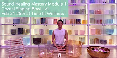Imagem principal do evento Sound Healing Mastery Module 1: Crystal Singing Bowl Level 1