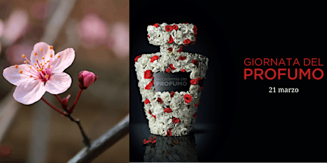 Il profumo dei fiori: scienza o magia? primary image